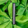 ZUMIQ Joint Hülle Torpedo schwarz gedrehte Cannabis Joints