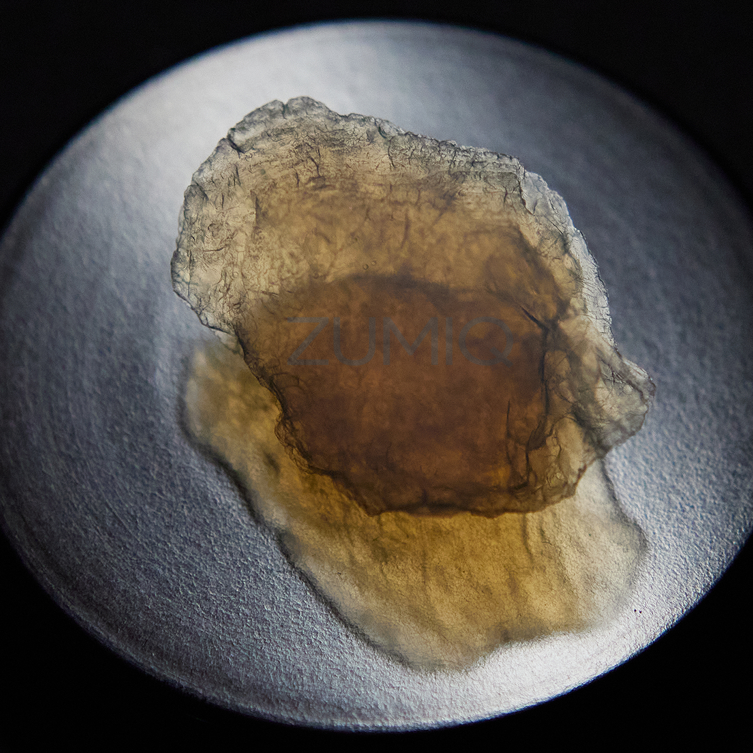 Hydrophobe-Aerogel-Bruchstuecke_gelb-bernstein Hydrophobe Aerogel Bruchstuecke gelb bernstein